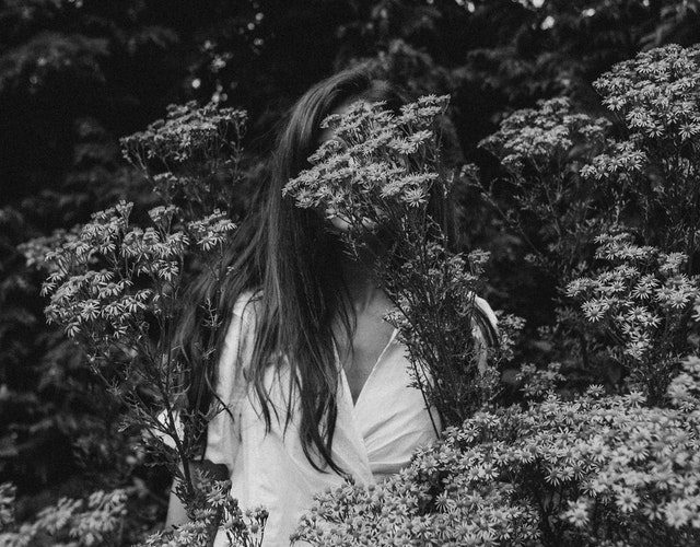 pexels-flora-westbrook-2709985