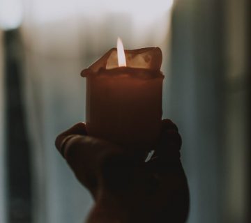pexels-fotografierende-3563626