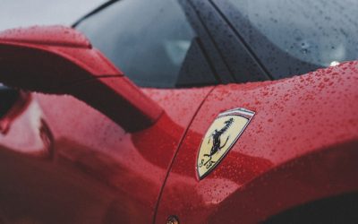 pexels-zachary-debottis-2568539 pexels-zachary-debottis-2568539